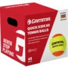 GAMMA Quick Kids 60 Stage 2 Orange Junior Tennis Balls 48 Box -Racquet Shop Gamma Quick Kids 60 Stage 2 Orange Junior Tennis Balls 48 Box 41536.1721301259