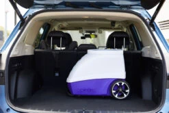 Spinfire Cricket Ball Machine 21 Spinfire Cricket Ball Machine -Racquet Shop spinfire pro 2 tennis ball machine in car 26305 83007.1721594610.1280.1280 35558.1725528294